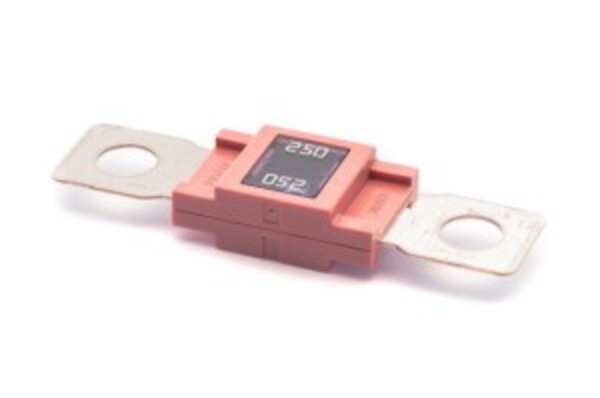 [DKWK 40 004 306] Zekering Mega 250A