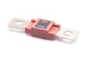 [DKWK 40 004 306] Zekering Mega 250A