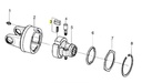 [BOND4210E0001R03] Pal met veren  (3 st)