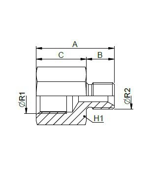 [FONT30.29.02.08] 1/8" BSP vrouwelijk x 1/2" BSP mannelijk