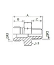 [FONT30.25.06.08] 3/8" BSP X 1/2" NPT