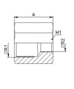 [FONT30.12.08.04] Verloop zeskantbus 1/2" BSP X 1/4" BSP