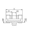 [FONT30.17.04.04] Adapter 1/4" BSP x 1/4" BSP