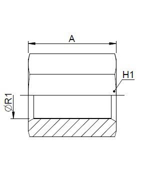[FONT30.12.00.02] Zeskantbus 1/8" BSP