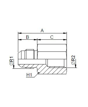 [FONT50.29.08.08] 3/4" JIC mannelijk x 1/2" BSP vrouwelijk
