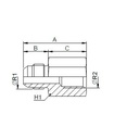 [FONT50.29.08.08] 3/4" JIC mannelijk x 1/2" BSP vrouwelijk
