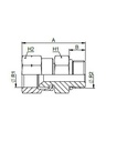 [FONT50.41.04.04] 7/16" JIC vrouwelijk x 7/16" UNF mannelijk