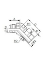 [FONT54.45.16.16] 1.5/16" JIC X 1" BSP instelbaar - 45°