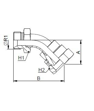 [FONT30.55.06.06] 3/8" BSP x 3/8" BSP - 45°