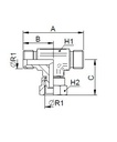 [FONT34.55.08.08] 1/2" BSP x 1/2" BSP x 1/2" BSP