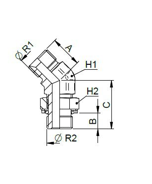 [FONT34.45.16.16] 1" BSP x 1" BSP instelbaar - 45°