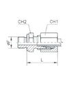 [RAST7505-L0802] Rechte koppeling mannelijk (08L - M14x1,5) x mannelijk (1/8" BSP)