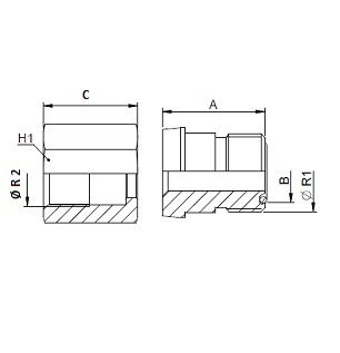 [FONT70.31.10.06] 1" ORFS vrouwelijk x 11/16" ORFS mannelijk