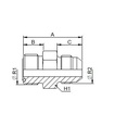 [FONT70.18.08.08] 13/16" ORFS X 3/4" JIC