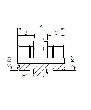 [FONT70.19.16.12] 1.7/6" ORFS X 3/4" BSP