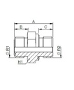 [FONT70.19.16.12] 1.7/6" ORFS X 3/4" BSP