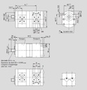 [DKWK 81 017 204 B]  Pomp 2 gaten 60,0 x 60 - spline as 9T - 16,0 + 11,0 cc - Rechts draaien - Bosch