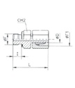 [RAST7552-L2226] Rechte koppeling vrouwelijk (22L - M30X2,0) x mannelijk (M26x1,5) met o-ring