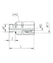 [RAST7553-S0804] Rechte koppeling vrouwelijk (08S - M16X1,5) x mannelijk (1/4" BSP) met o-ring