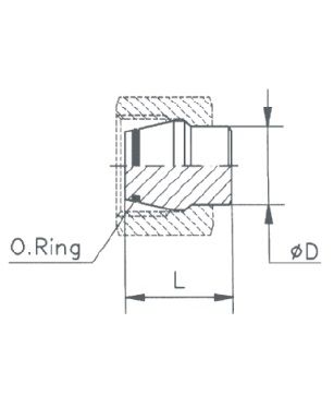 [RAST7585-S2500] Buis plug 25S
