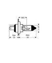 [OSRA64193] Gloeilamp   12V   60/55W   P43t     (H4)
