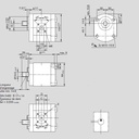 [DKWK 81 002 012 B]  Pomp 2 gaten 60,0 x 60 - spline as 9T - 19,0 cc - Rechts draaien - Bosch
