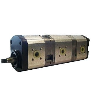[DKWK 81 003 304 B]  Pomp 2 gaten 60,0 x 60 - conische as - 8,0 + 19,0 + 11,0 cc - Links draaien - Bosch