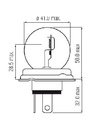 [PACA181044] Gloeilamp   12V    45/40W   P45t
