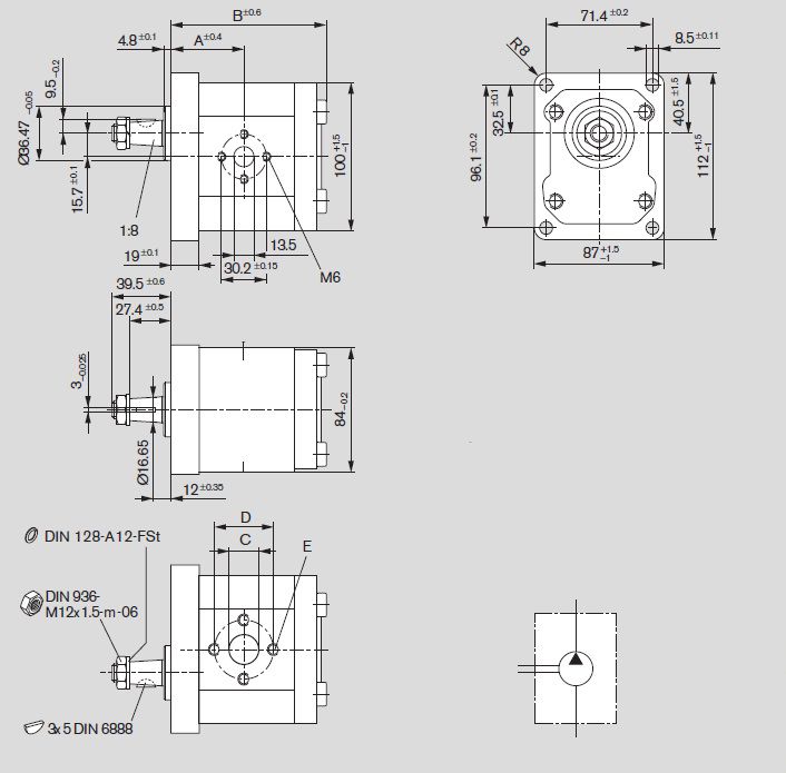 [DKWK 81 005 187 B]  Pomp 4 gaten 72,0 x 100 - spline as 9T - 8,0 cc - Links draaien - Bosch