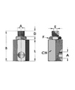 [FLEX8870-40-08] Draaibare koppeling 1/2" BSP