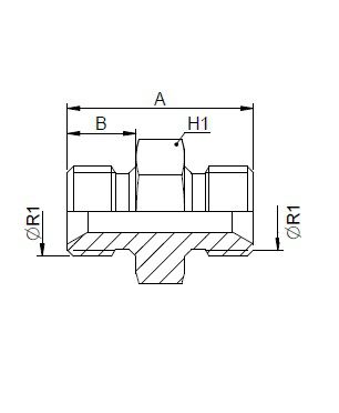 [FONT30.17.02.02] Adapter 1/8" BSP x 1/8" BSP