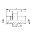 [FONT30.23.02.02] 1/8" BSP X 1/8" NPT