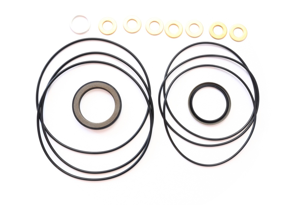 Kit dichtingen OMP/DH/OMR/DS - Ø 25 mm, Ø 1", getande as 1" - serie 8/1/6/1