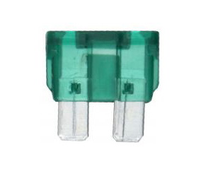 Zekeringen 30 A (100 stuks)