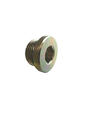1/4" BSP