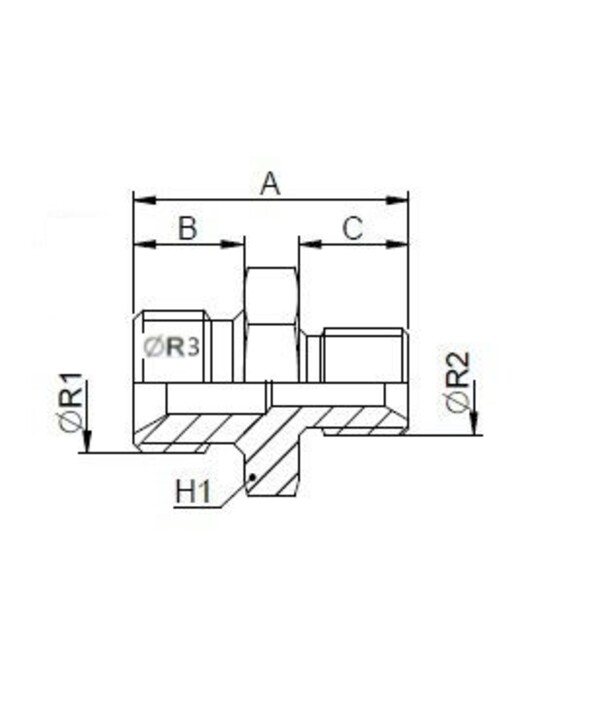 Adaptor M33-1,5+1/2"BSP X 1/2"BSP 