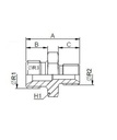 Adaptor M33-1,5+1/2"BSP X 1/2"BSP 