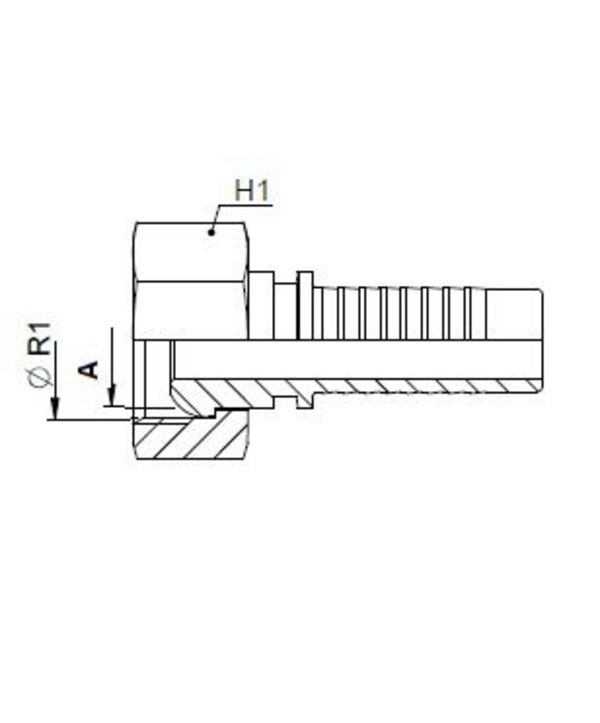 Kop. Vrouwelijk  M30x1,5 - Buis 21L - Slang 3/4"