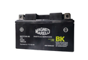 Motobatterij 12V - 8,6Ah - 150x87x93