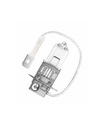 Ampoule   12V   55W      PK22s    (H3)