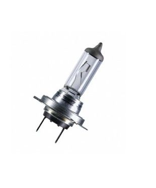 Ampoule   12V   55W      PX26d     (H7)