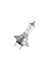 Ampoule   24V   70W      PX26d   (H7)
