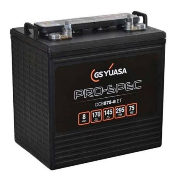 Batterie traction 8V  264x181x245 - 170AH