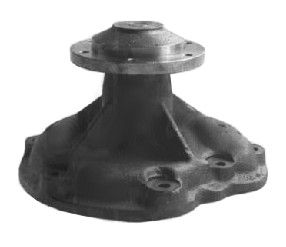 [DKWK 01 100 002] Pompe à eau
