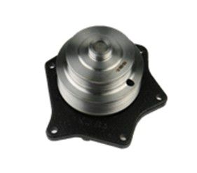 [DKWK 01 100 029] Pompe à eau
