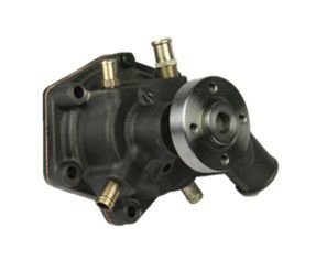 [DKWK 01 100 034] Pompe à eau