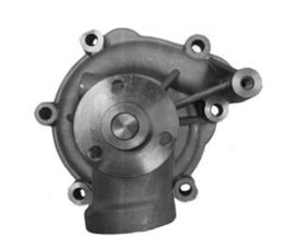 [DKWK 01 100 037] Waterpomp
