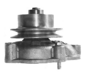 [DKWK 01 100 061] Pompe à eau