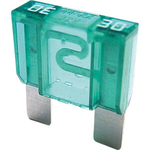 [DKWK 40 004 101] Bladzekering Maxi 30A (10 stuks)