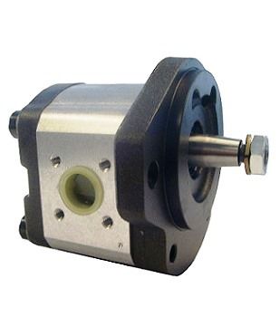 [DKWK 81 001 101 B] Pomp 2 gaten 106,4 - conische as -  8,0 cc - Rechts draaien - Bosch